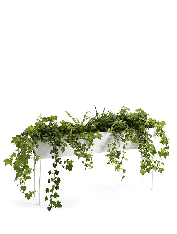 O2ASIS Green Pedestal