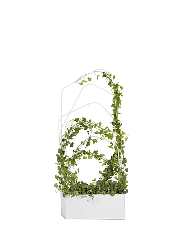 O2ASIS Green Divider