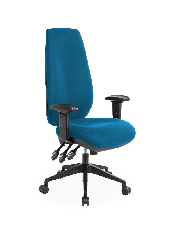 Ergopedic