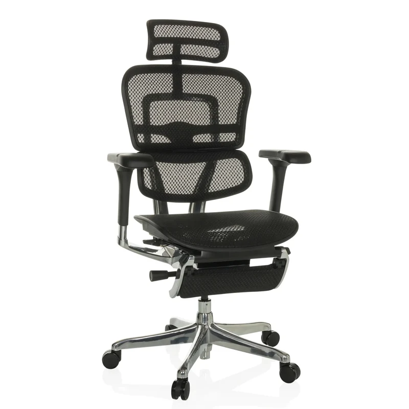 ERGOHUMAN PLUS LEGPRO GEN2 | Netz - Luxus Chefsessel