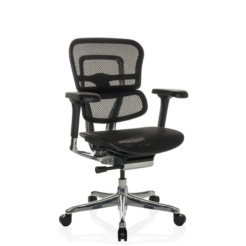 ERGOHUMAN BASE GEN2 | Netz - Luxus Chefsessel