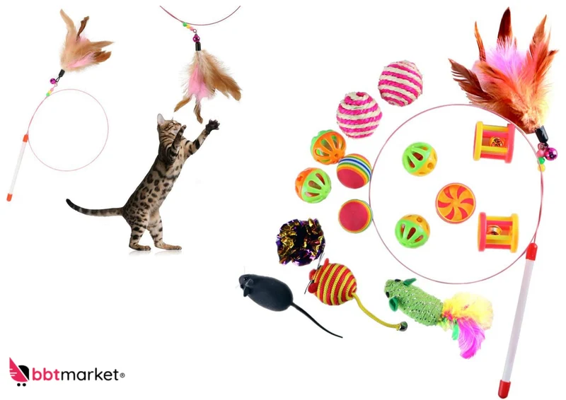 Katzenspielzeug Set 16-teilig – Mäuse, Federn, Bälle & interaktive Spielzeuge für Katzen