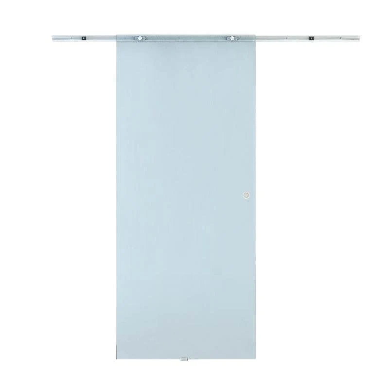 Glasschiebetür 1025 x 2050 mm satiniert